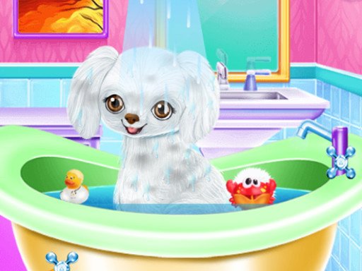 Play My New Poodle Friend Online