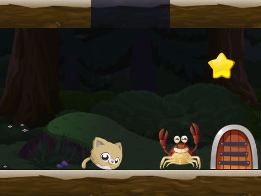 Play Cat Rolling Online