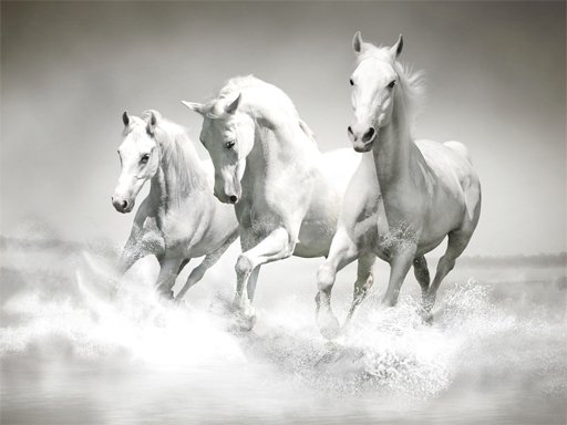 Play Horses Puzzle Online