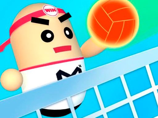 Play 3D Amazing VolleyBall Online