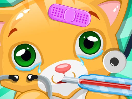 Play Little Cat Doctor Pet Vet Game Online