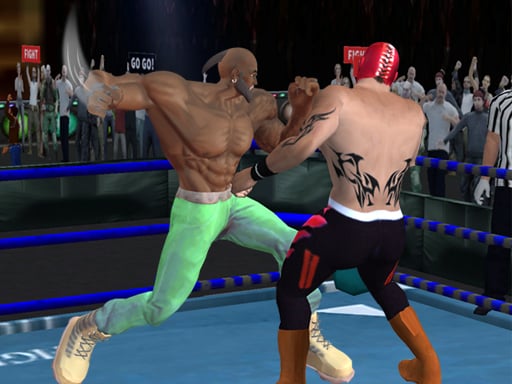 Play Real Boxing Fighting Game Online